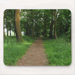 Väg i Skogen, Bute Park, Cardiff Musmatta