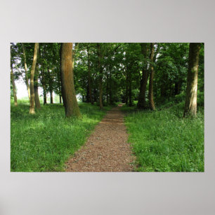 Väg i Skogen, Bute Park, Cardiff Poster