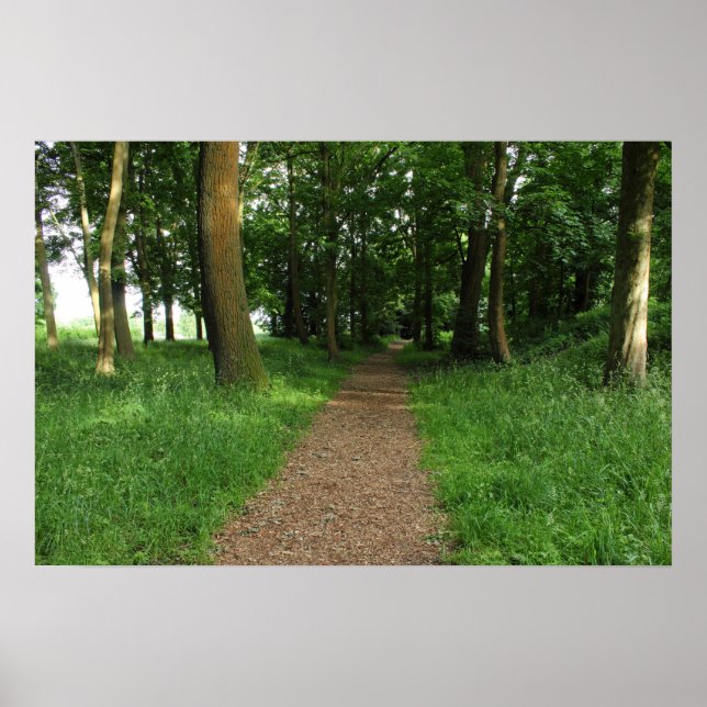 Väg i Skogen, Bute Park, Cardiff Poster (Framsidan)
