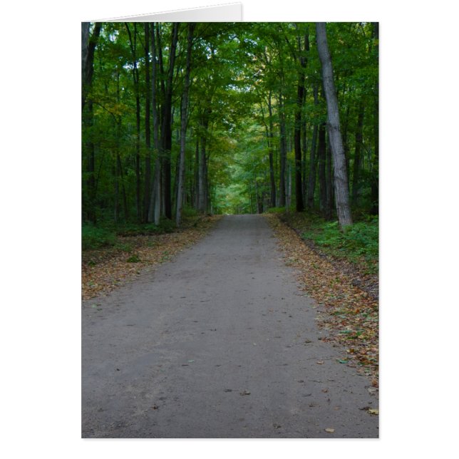 Väg i skogen. hälsningskort (Framsidan)