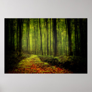 Väg i skogen poster