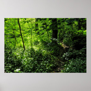VÄG i SKOGEN Poster
