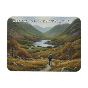 Väg i Wicklow Mountains National Park Irland Magnet