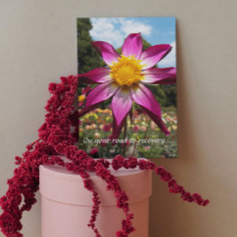Väg in till Recovery Rosa Dahlia Blommigt - få bra Kort