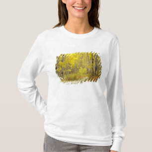 Väg med höstfärger och asp i Kebler 2 T-shirt