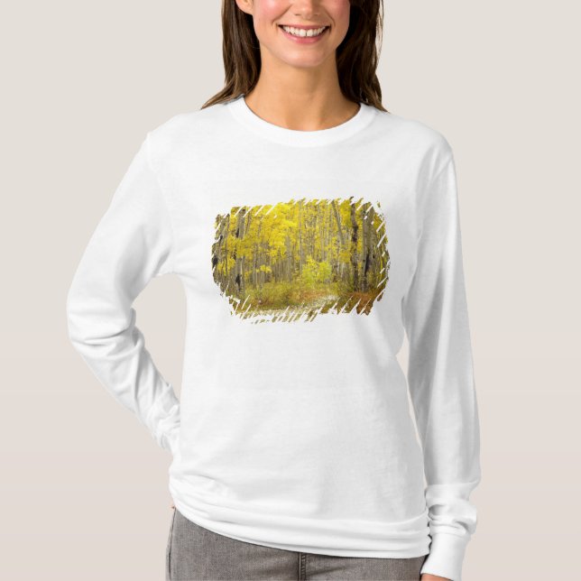 Väg med höstfärger och asp i Kebler 2 T-shirt (Framsida)