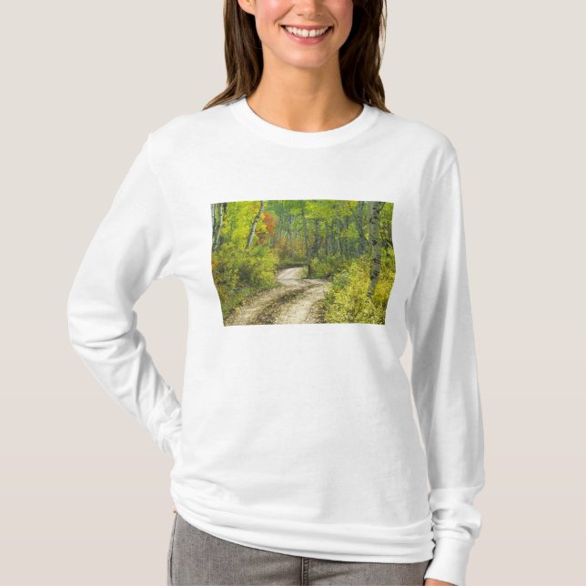 Väg med höstfärger och asp i Kebler T-shirt (Framsida)