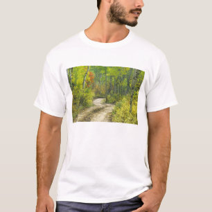 Väg med höstfärger och asp i Kebler T-shirt