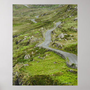 Väg mellan Ballaghacahreen och Caherkeen. Poster