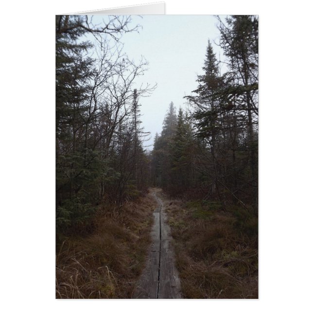 väg OBS kort (Framsidan)