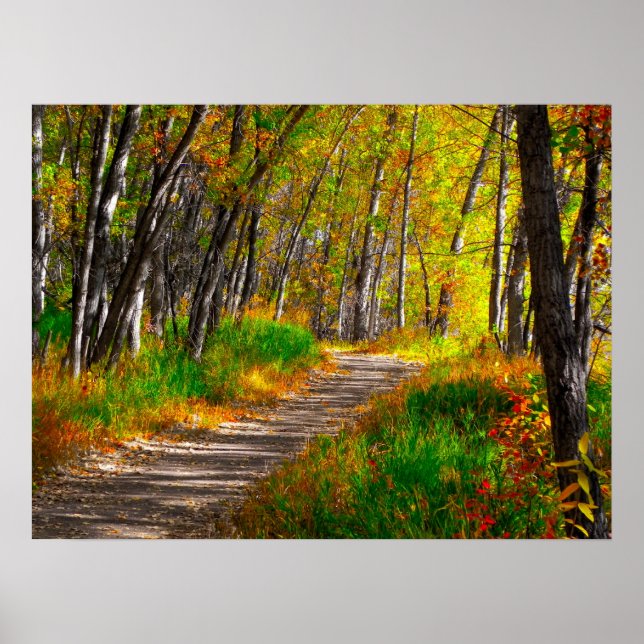 Väg Poster (Framsidan)