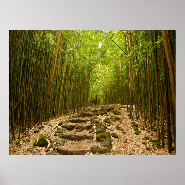 Väg Poster (Framsidan)