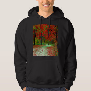 VÄG SKOG TRÄD BOTANISK NATUR LANDSKAP HOODIE