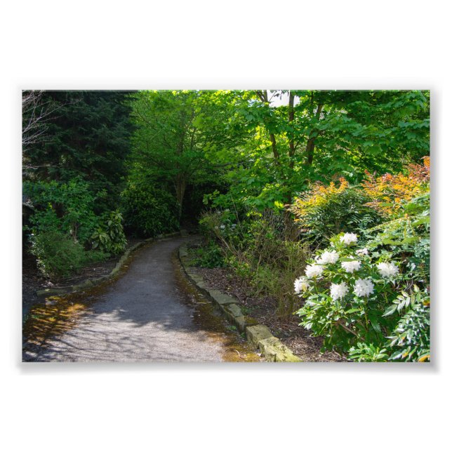 Väg till Allan Park, Sowerby Bridge Fototryck (Framsidan)