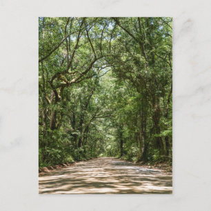 Väg till Angel Oak-vykort Vykort