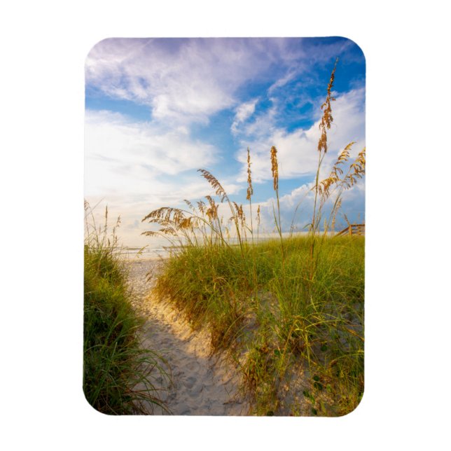 Väg till Beach Magnet (Vertikal)
