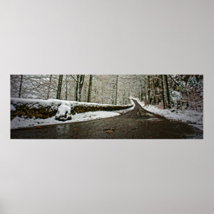 Väg till framtiden - affisch 36x12