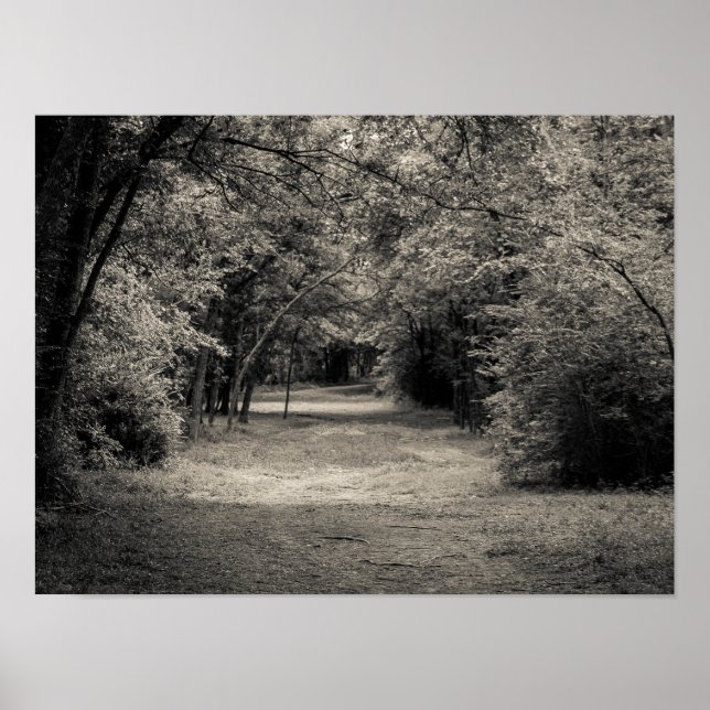 Väg till Okänd Poster (Framsidan)