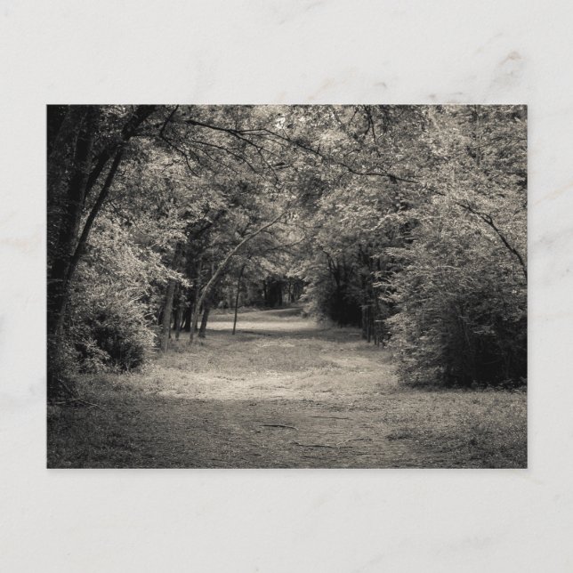 Väg till Okänd Vykort (Framsida)