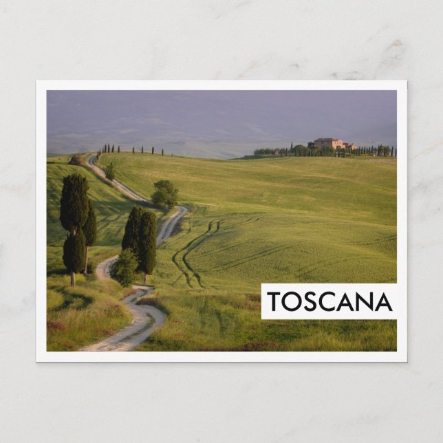 Väg till Terrapille i Toskana, Toscana Vykort (Framsida)