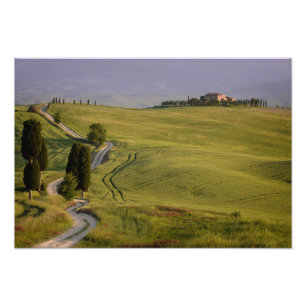 Väg till Terrapille i Tuscany fototryck