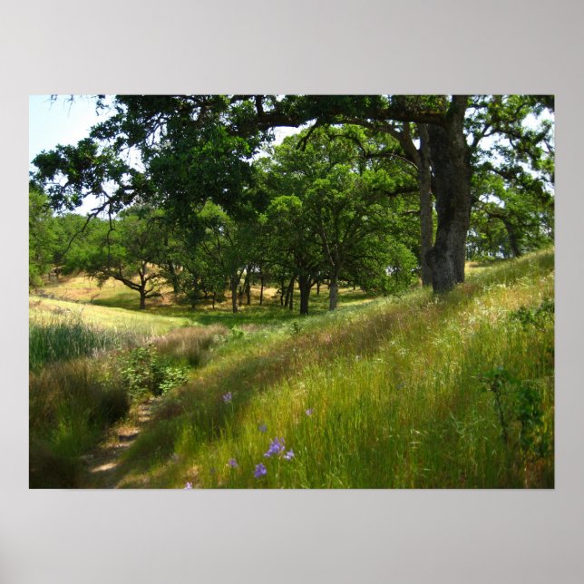 "Väg to Quiet" Poster (Framsidan)