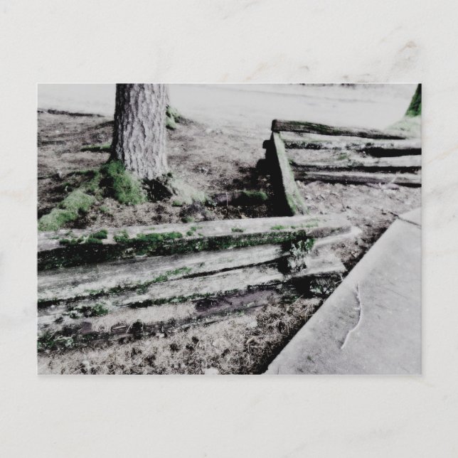 väg vykort (Framsida)