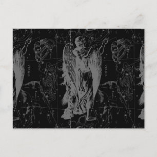 Våg Zodiac Constellation Hevelius 1690 Vykort