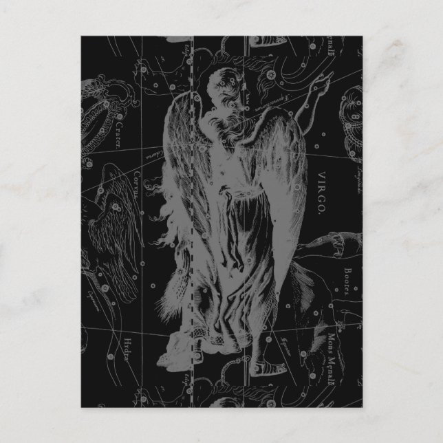 Våg Zodiac Constellation Hevelius 1690 Vykort (Framsida)