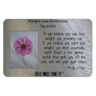 Väga den inspirera magneten #0101 för förlust magnet