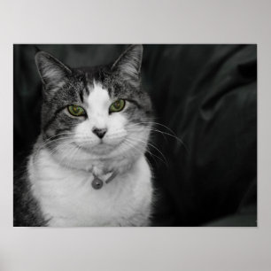 Våga titta in i mina gröna ögon poster