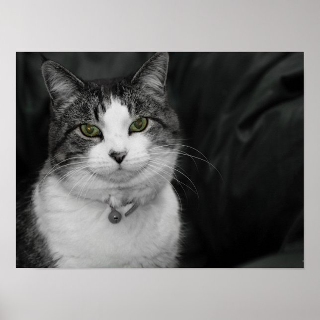 Våga titta in i mina gröna ögon poster (Framsidan)
