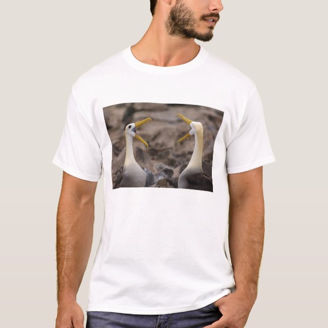Vågad albatross Phoebastria irrorata) par Tee Shirt (Framsida)