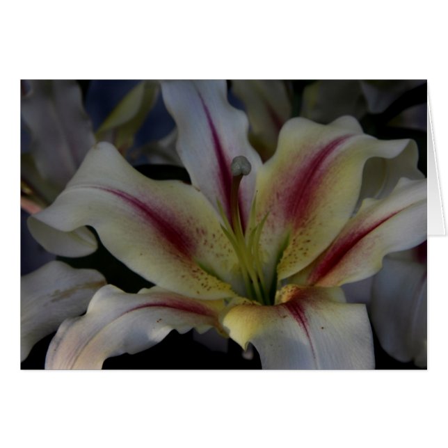 Vågar Hälsningskort (Framsidan Horizontal)