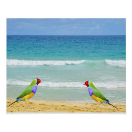 Vågar, himmel och surfa på stranden Boa Vista Perfect Poster