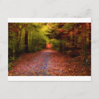 Vägar i natur vykort