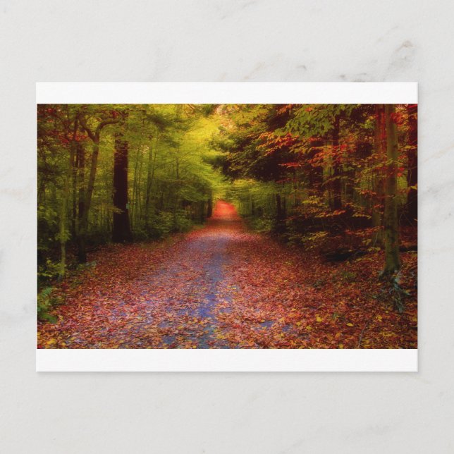 Vägar i natur vykort (Framsida)