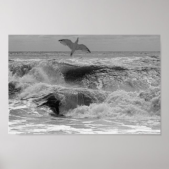 Vågar Poster (Framsidan)