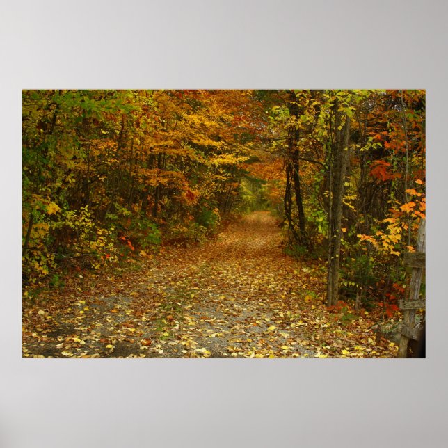 Vägen är mindre resande poster (Framsidan)