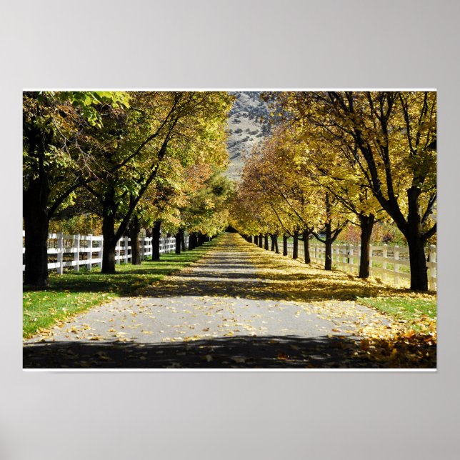 Vägen Färg Poster (Framsidan)