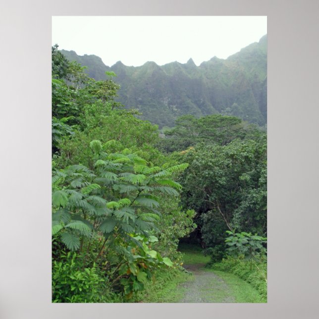 Vägen har inte tagits poster (Framsidan)