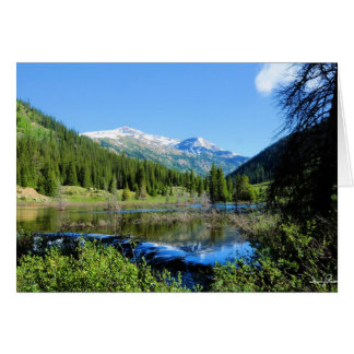 Vägen till självständighet OBS kort