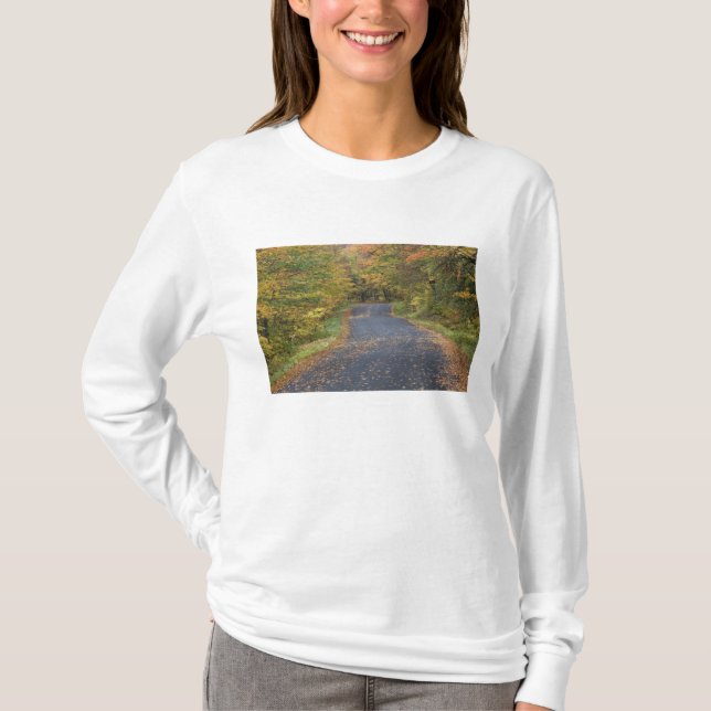 Vägens höstlöv, södra Vermont, USA Tee (Framsida)