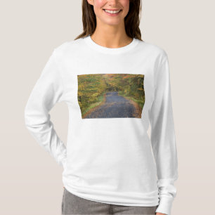 Vägens höstlöv, södra Vermont, USA Tee Shirt