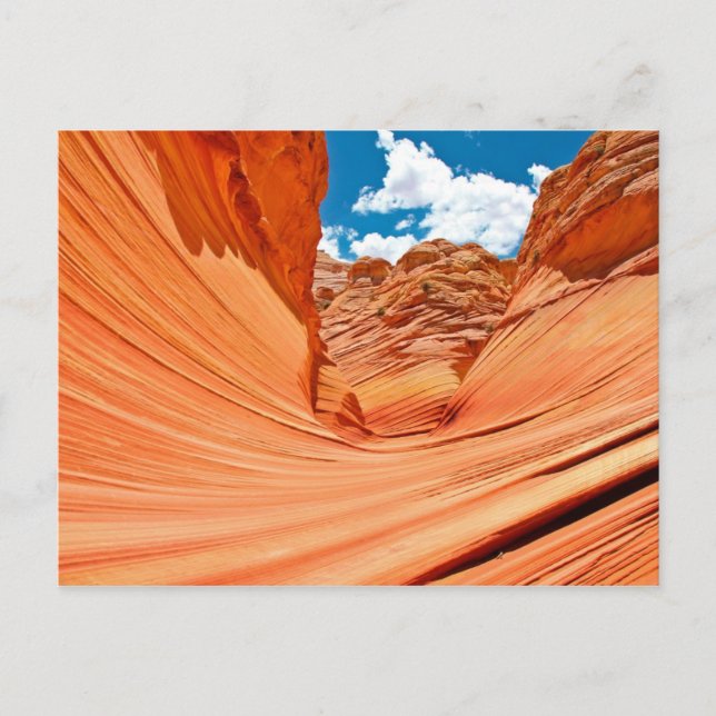 Vågformens Färger Vykort (Framsida)