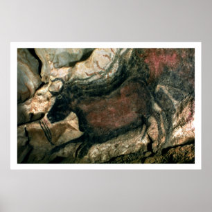 Vagga målning av en svart tjur, c.17000 BC Poster