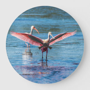 Väggen för rundan för den Roseate spoonbillen t Stor Klocka