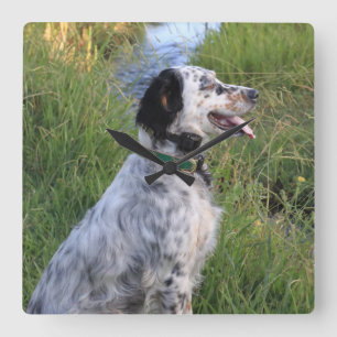 Väggen tar tid på med hundar av fjädern Llewellin Fyrkantig Klocka