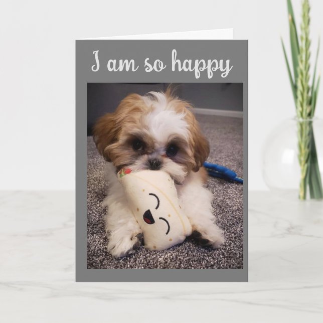 VAGGERA MIN SVAN/ÖNSKAN PÅ DIG **GLAD PÅSK** HELGKORT (Framsida)