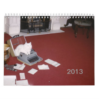 Väggkalender 2013 (den nya upplagan) kalender